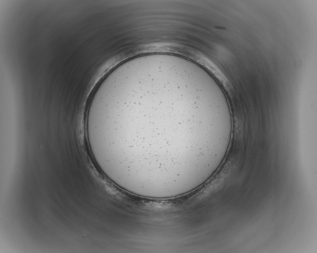 X0000111620994200908071347