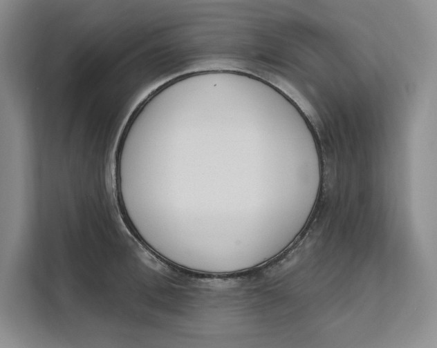 X0000111620996200908071347