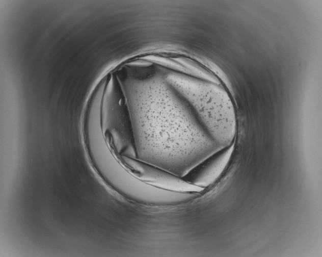 X0000111620997200908071347