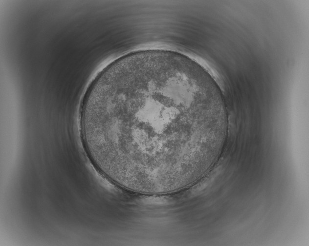 X0000111620998200908071347