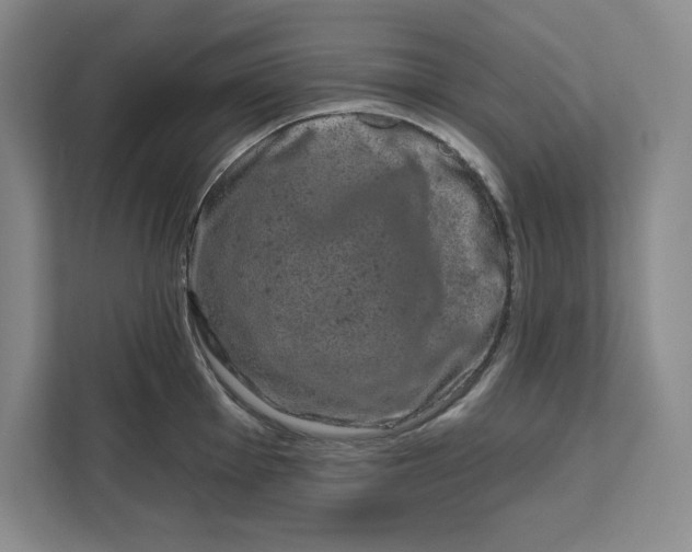 X0000111621001200908071347