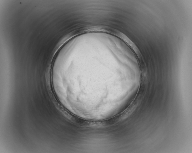 X0000111621002200908071347