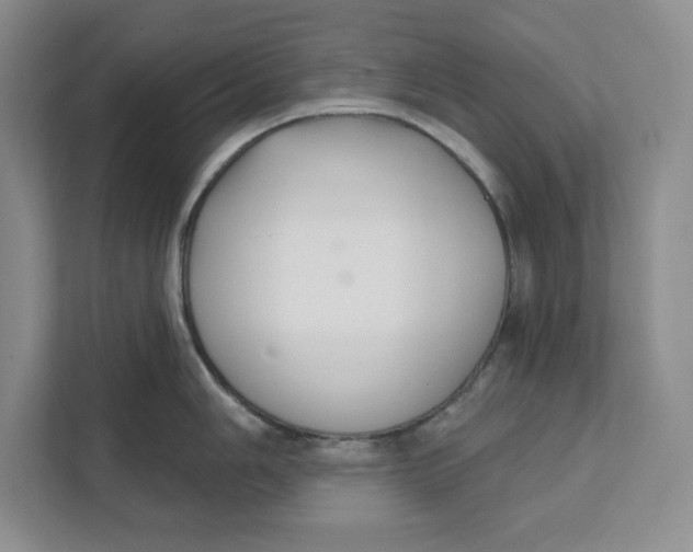 X0000111621006200908071347