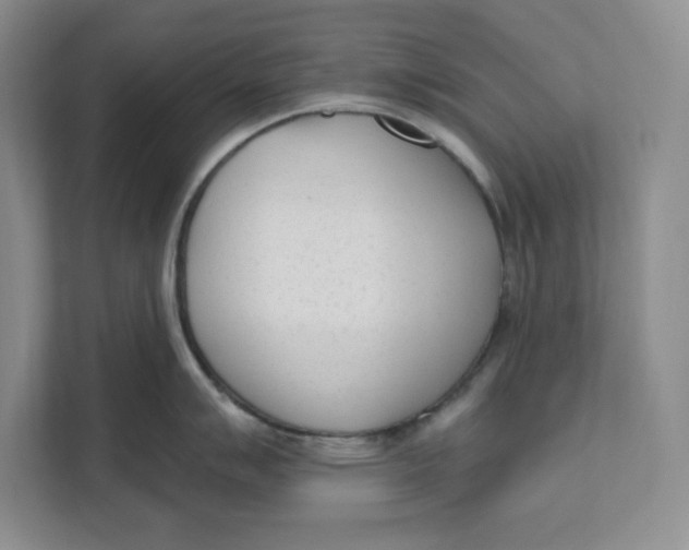 X0000111621007200908071347