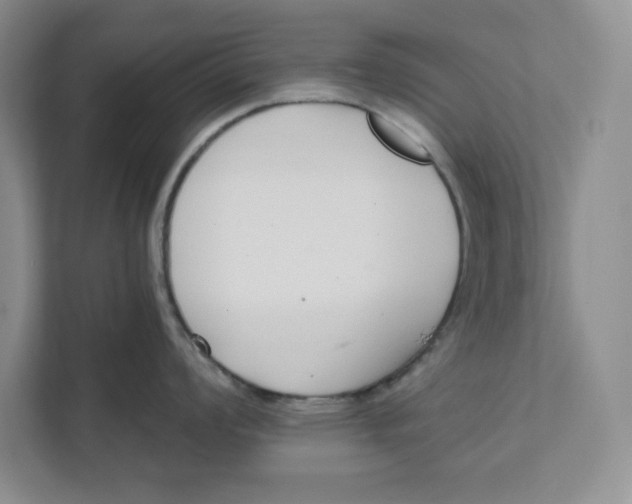 X0000111621008200908071347