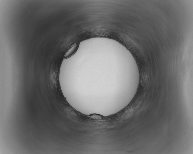 X0000111621010200908071346