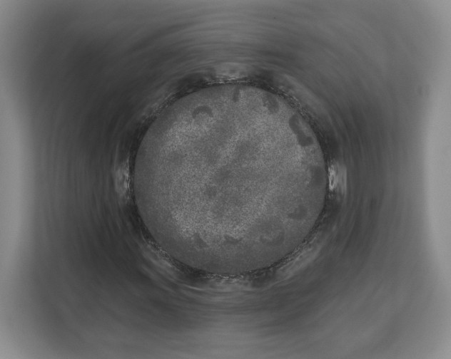 X0000111621011200908071346