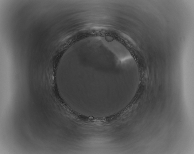 X0000111621013200908071346