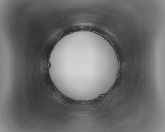 X0000111621014200908071346