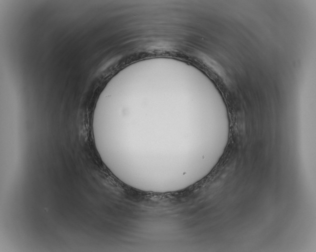 X0000111621015200908071346