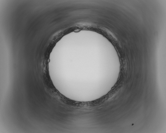 X0000111621016200908071346