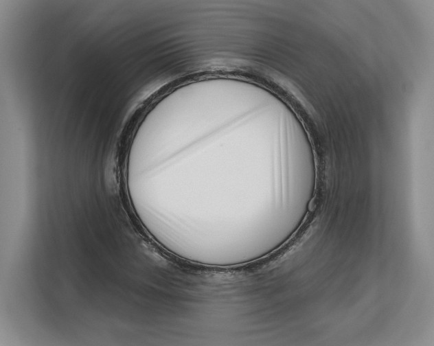 X0000111621018200908071346