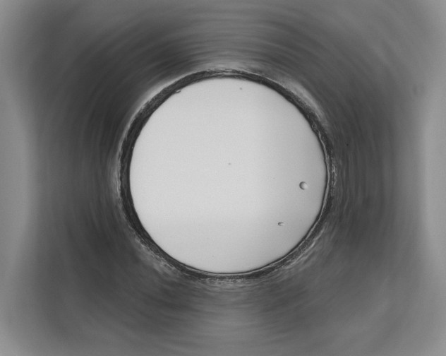 X0000111621020200908071346