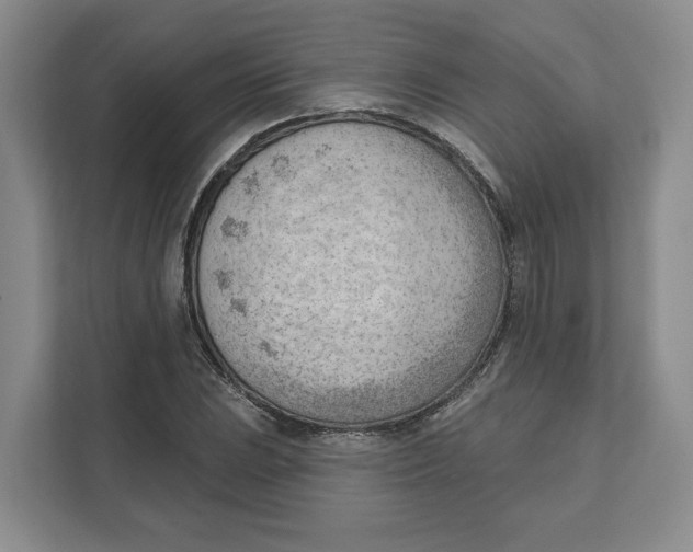 X0000111621023200908071346