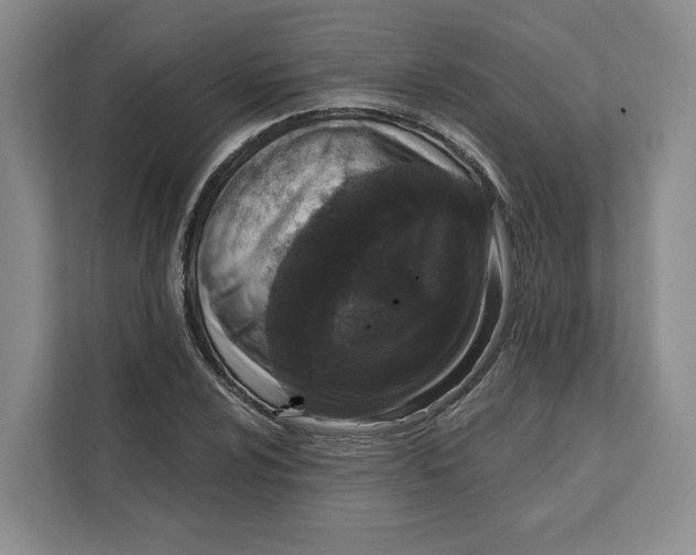 X0000111621024200908071346