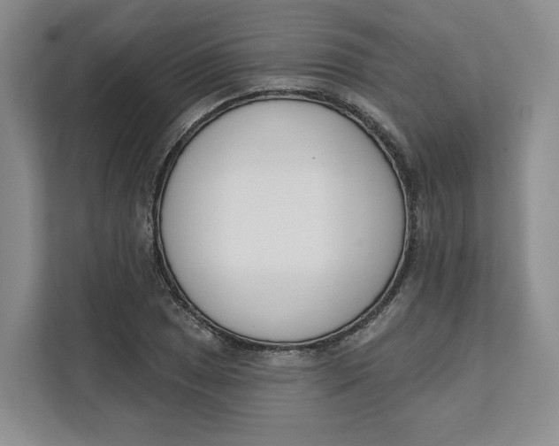 X0000111621025200908071346