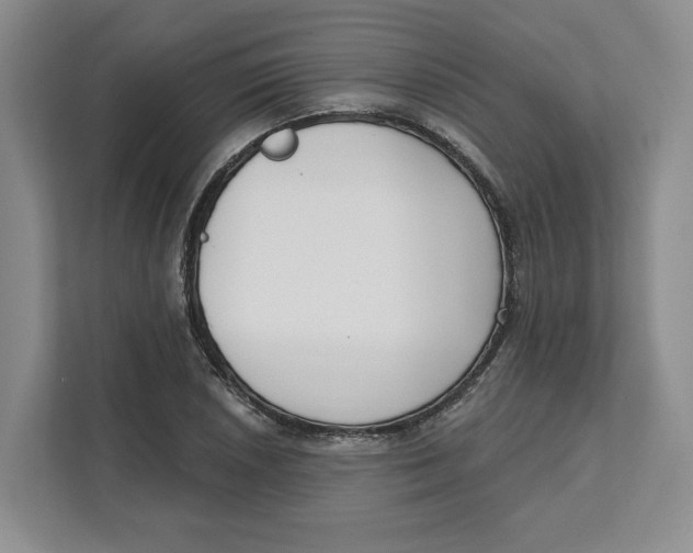 X0000111621026200908071346