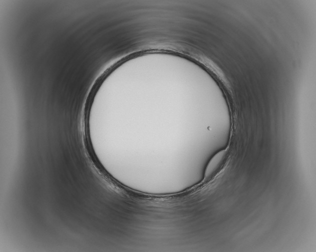 X0000111621028200908071346