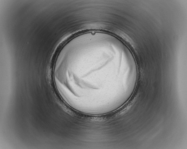 X0000111621029200908071346