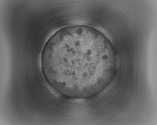 X0000111621031200908071346