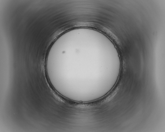 X0000111621033200908071346