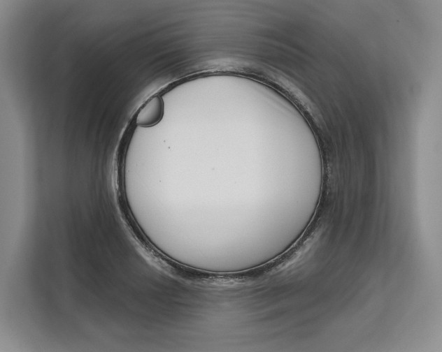 X0000111621034200908071346