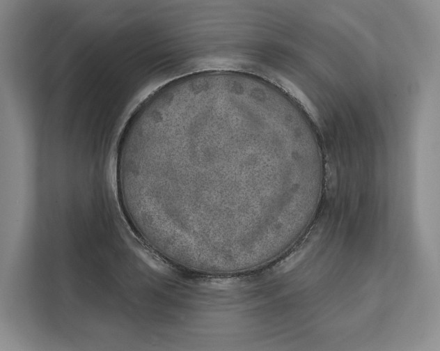 X0000111621035200908071346