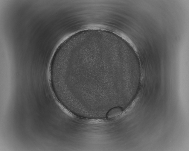 X0000111621037200908071347