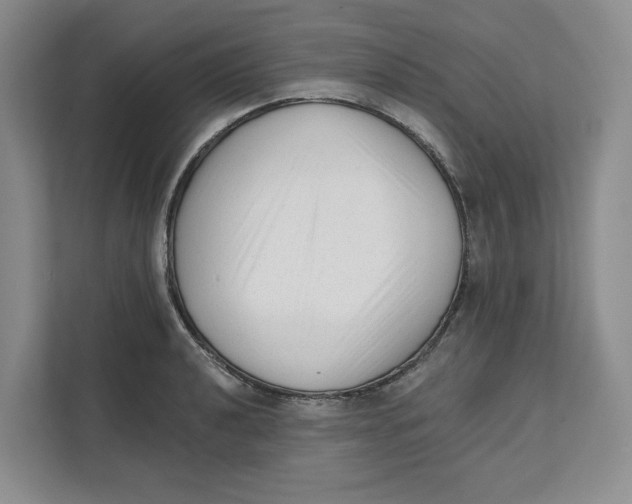 X0000111621040200908071347