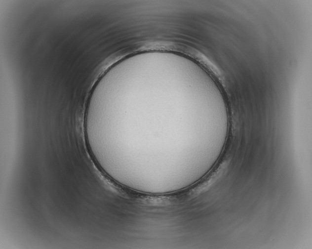 X0000111621041200908071347