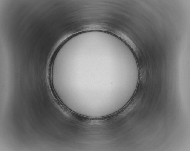 X0000111621043200908071347