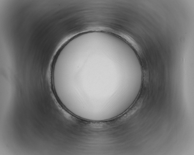 X0000111621046200908071347