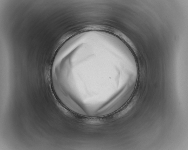 X0000111621049200908071347