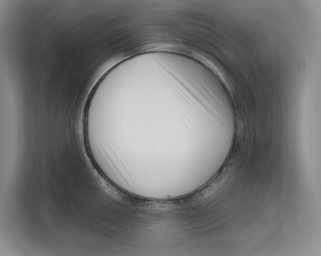 X0000111621050200908071347