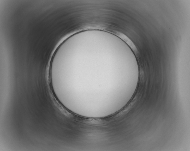 X0000111621052200908071347