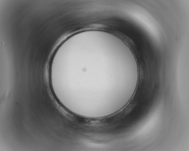 X0000111621054200908071347