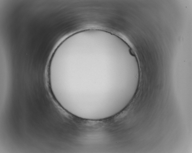 X0000111621056200908071347