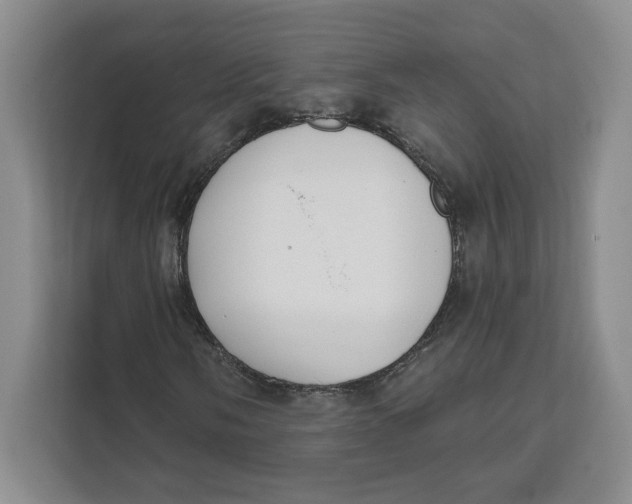 X0000111621058200908071346