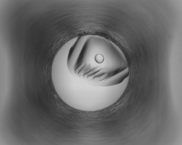 X0000111621060200908071346