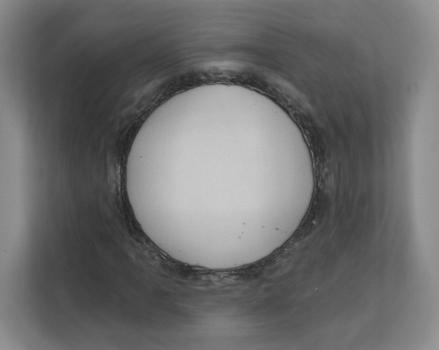 X0000111621061200908071346