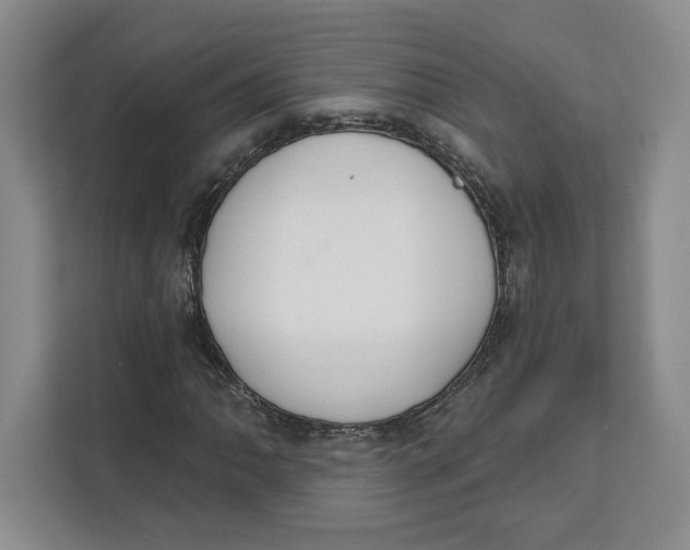 X0000111621062200908071346