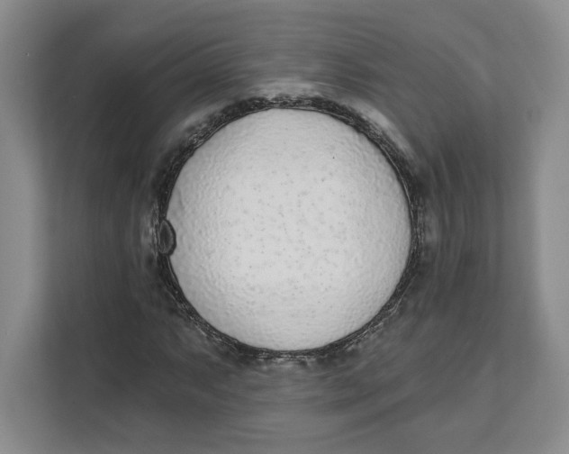 X0000111621063200908071346