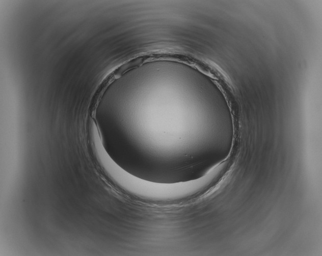 X0000111621065200908071346