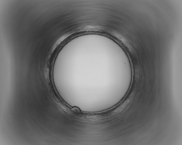 X0000111621066200908071346