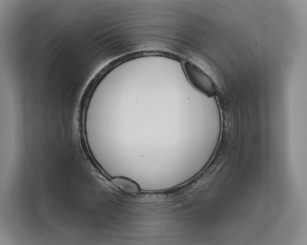 X0000111621068200908071346