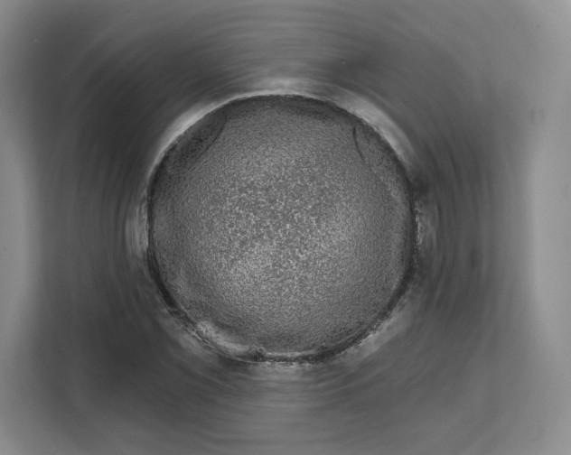 X0000111621069200908071346