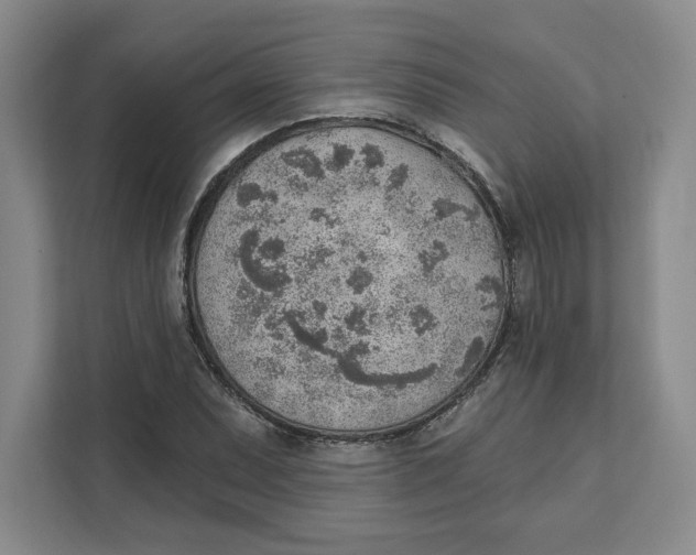 X0000111621071200908071346