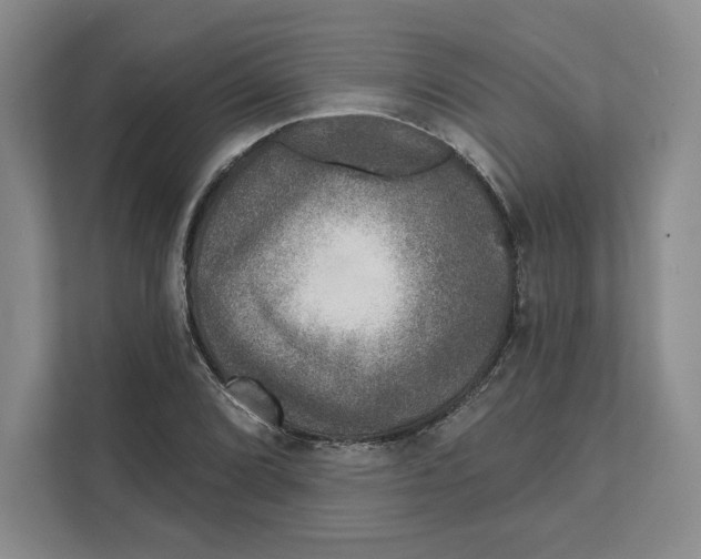 X0000111621072200908071346