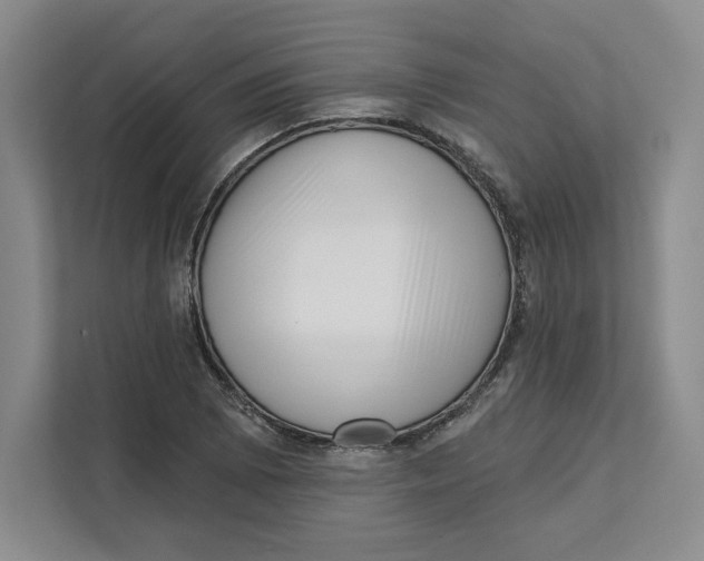 X0000111621073200908071346