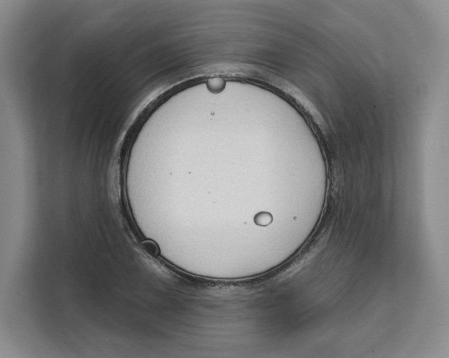 X0000111621075200908071346